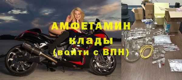ГАЛЛЮЦИНОГЕННЫЕ ГРИБЫ Алексин