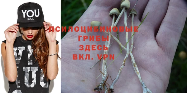 МДПВ Алексеевка